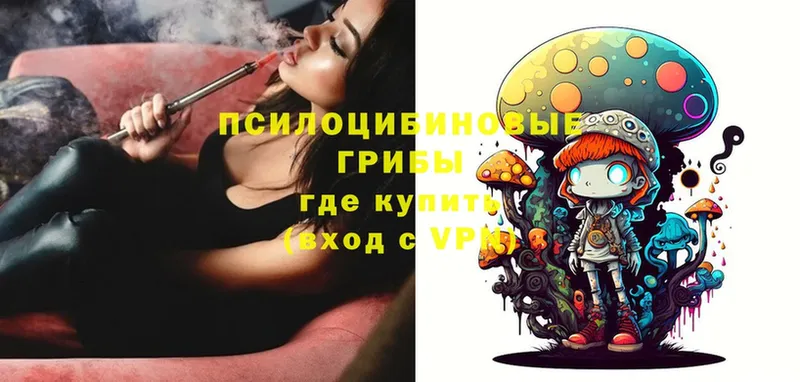 как найти   Великие Луки  Галлюциногенные грибы Cubensis 